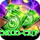 2015 world cup Master Pro v1.4.1