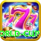 2021 t20 world cup Pro