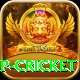 2022 world cup cricket VIP Pro v2.4.8