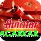 ajit agarkar Pro Edition v4.9.5