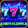 andy flower Elite v2.4.9