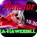antigua hawksbill Apps (Tools & Injectors) VIP v3.1.0