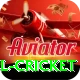 bbl cricket Games (Casino & Earning) Deluxe v4.0.8