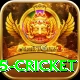 bet365 cricket Pro
