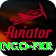 Bingo PKR Apps (Tools & Injectors) VIP v5.2.0