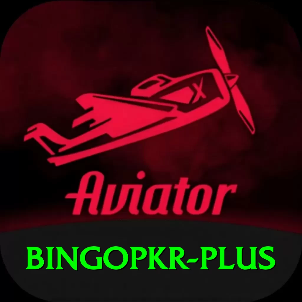 bingopkr VIP v3.2.3 - 2
