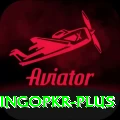 bingopkr VIP v3.2.3