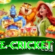 bpl live cricket Premium Edition v5.1.7