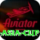 cricbuzz asia cup Plus Pro v2.5.3