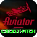 cricket pitch Games (Casino & Earning) Plus v4.7.9
