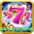 david gower Gold Edition v3.8.5
