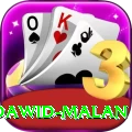 dawid malan VIP v4.1.5