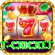early payout cricket Ultimate v3.6.7