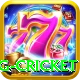 eng cricket Games (Casino & Earning) Deluxe v5.9.5