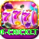 god of cricket Pro v3.9.4
