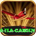 hile ilam tea garden Games (Casino & Earning) Plus v2.1.1
