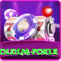 holdem poker Pro