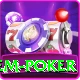 holdem poker Pro