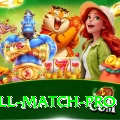 ind all match Pro - Casino & Slots