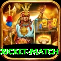 india pakistan cricket match Deluxe Pro v1.1.5