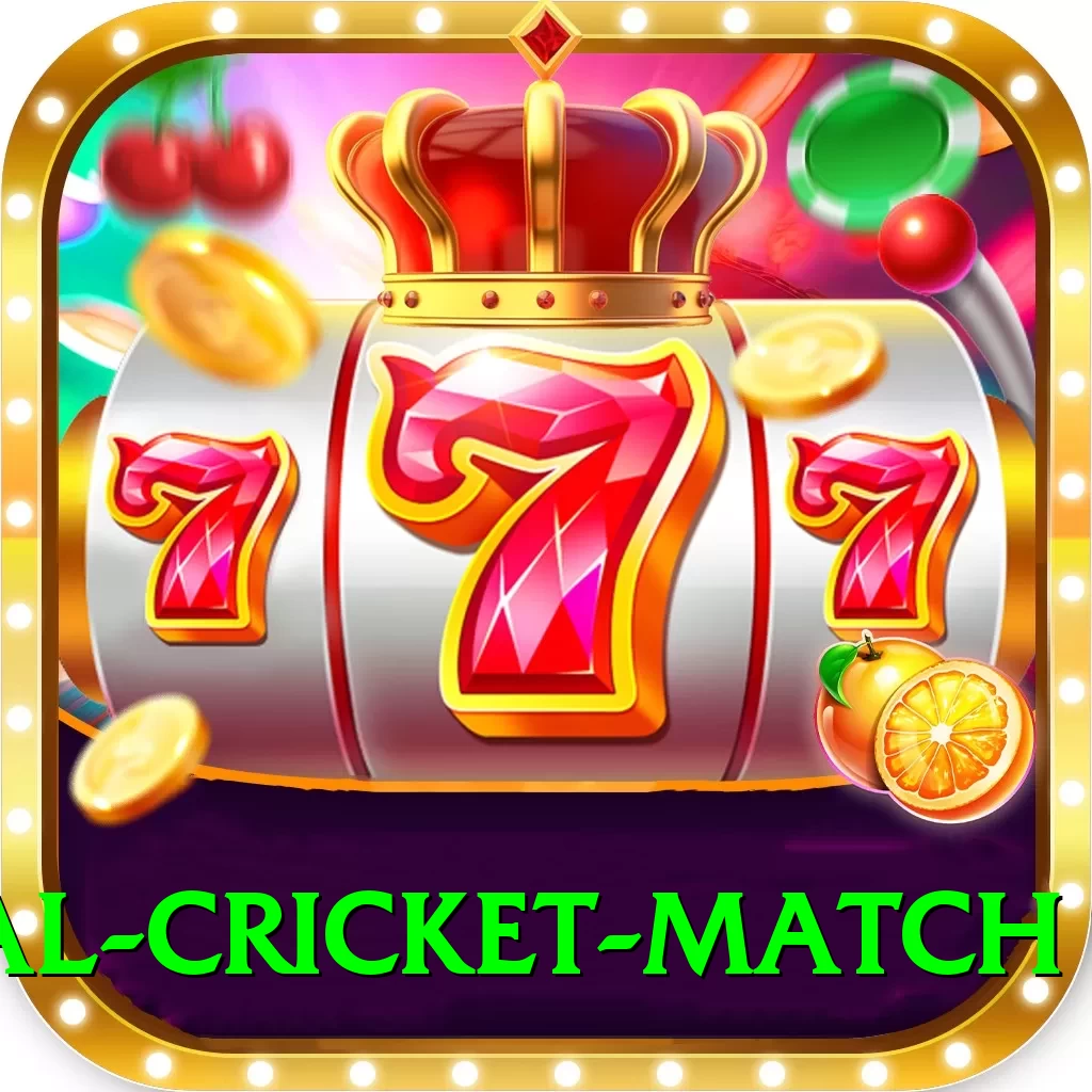 international cricket match Elite v5.5.5 - 2