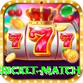 international cricket match Elite v5.5.5
