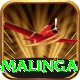 lasith malinga Games (Casino & Earning) Deluxe v5.7.2