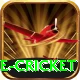 mobile cricket Plus Edition v3.6.1