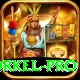morne morkel Pro - Win Real PKR