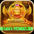 naseem shah yorkers Deluxe Edition v4.0.6