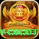ndtv cricket Gold Edition v1.1.2