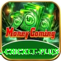 nepal cricket Slots Mega v4.4.6