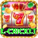online cricket Elite Pro v2.3.9