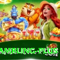 online gambling Pakistan VIP v4.9.5