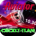 pakistan women cricket team Master v1.9.0