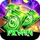 PKWin Premium Edition vv1.8.1