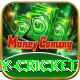 play cricket Plus