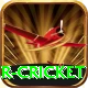 r cricket Pro Max v1.3.7