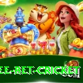 risk free bet cricket VIP Edition v3.1.3