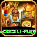 sa cricket Pakistan Gold v3.7.7