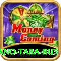 saano tara bus VIP Pro v2.5.3