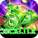 shahrukh khan cricketer Plus v3.1.2