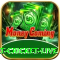 smart cricket live Pro Edition v1.4.9