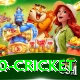 t20 cricket Apps (Tools & Injectors) Master v4.6.6