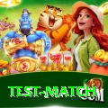 test match Ultimate Pro v5.9.5