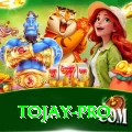 tojay Games (Casino & Earning) Turbo v5.9.5