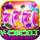 v cricket Master Pro v4.1.1