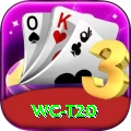wc t20 Pro Max v5.4.7