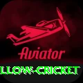 willow cricket Gold v2.8.4
