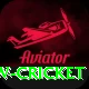 willow cricket Gold v2.8.4